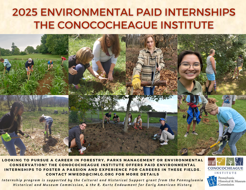 2025 Environmental internships