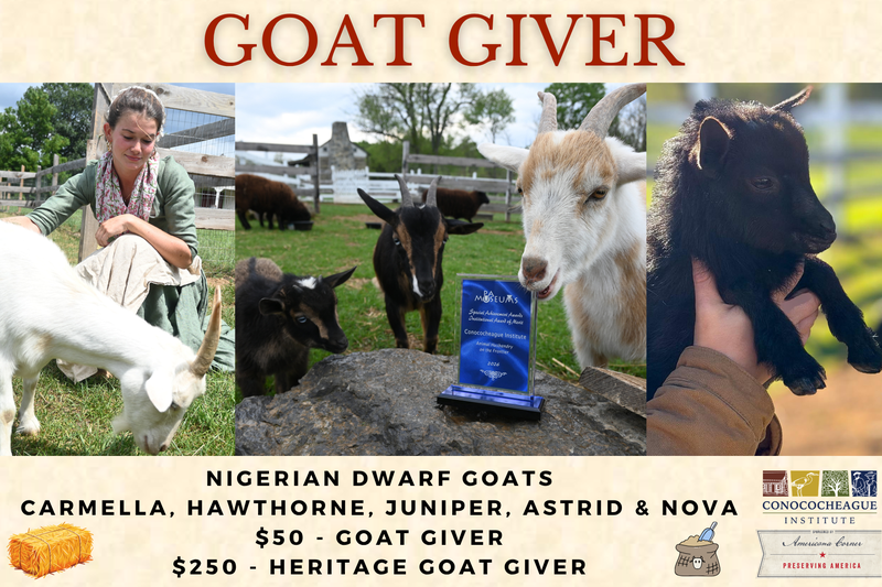 2026 Goat Giver