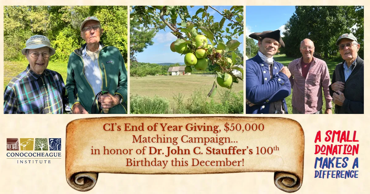 CI End of Year Giving