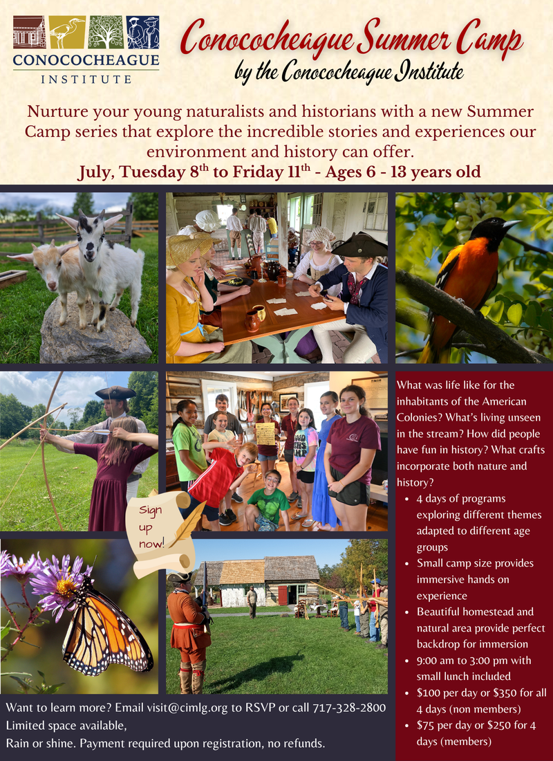 CI Summer Camp 2025