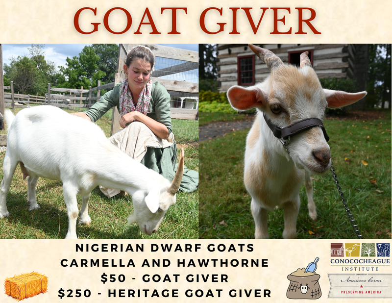 Goat Giver