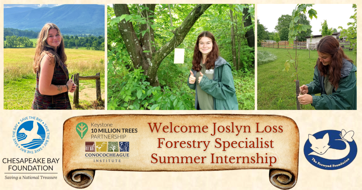 Joslyn Facebook Post