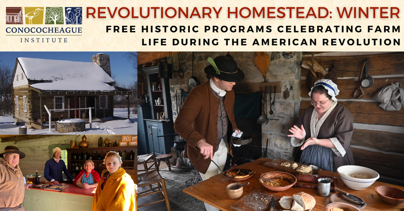 Revolutionary Homestead Winter Banner Ad