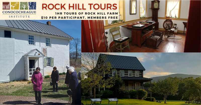 Rock Hill Tours