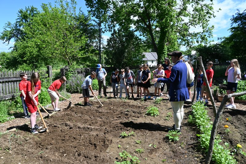 Summer Camp Fun in the Garden